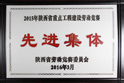 陜西省重點工程建設勞動競賽先進集體